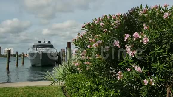 豪华游艇位于葡萄牙的码头阳光明媚视频的预览图