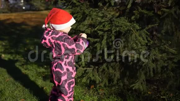 一个戴着圣诞老人帽子的小女孩在街道上用球装饰一棵树视频的预览图