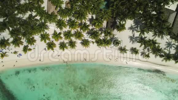 加勒比海的天堂热带岛屿充满异国情调的野生海滩全景视频的预览图