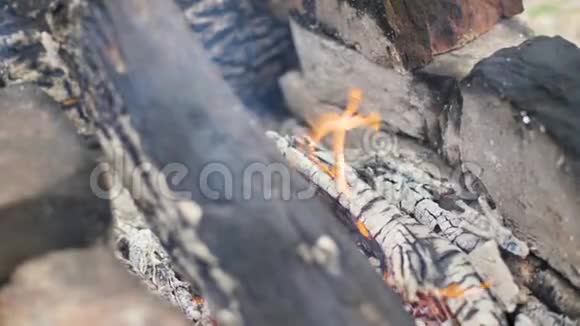 燃柴在火焰篝火上靠近游客用煤烤土豆视频的预览图