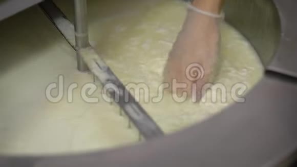 一名工业工人在奶酪车间为软新鲜奶酪做凝乳视频的预览图