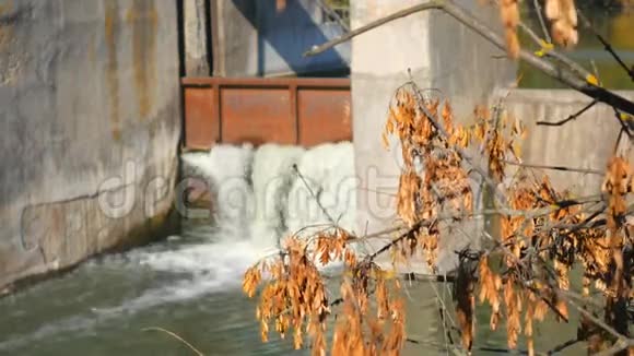 一条小河上的水坝瀑布秋天的风景视频的预览图