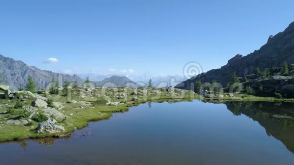 在晴朗的夏天在清澈的蓝色湖泊和松树林上方移动欧洲意大利阿尔卑斯山山谷奥斯塔户外绿色视频的预览图
