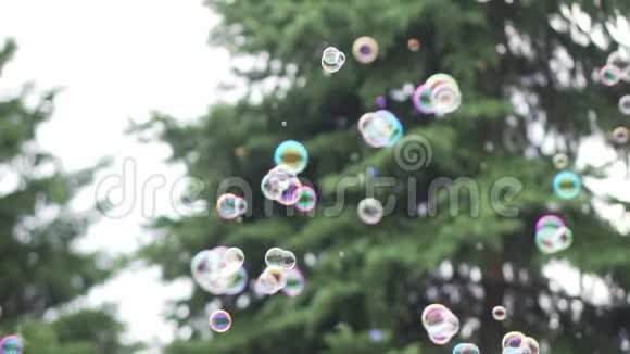 许多小肥皂泡在一棵绿色圣诞树的背景下飞舞视频的预览图