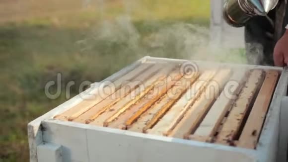 养蜂人打开蜂巢吸着烟让蜜蜂平静下来抽了很多烟视频的预览图