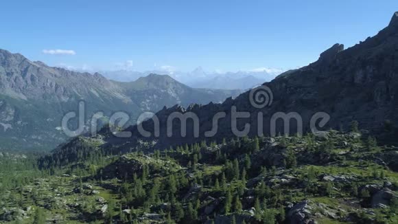 在阳光明媚的夏日在松树林山谷的上方移动着欧洲意大利阿尔卑斯山山谷奥斯塔户外绿色视频的预览图