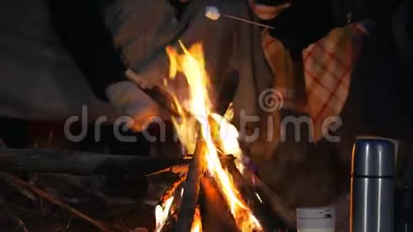 冬林之友群坐在篝火旁吃东西视频的预览图