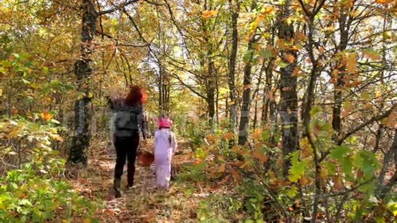 穿过秋天的树林视频的预览图