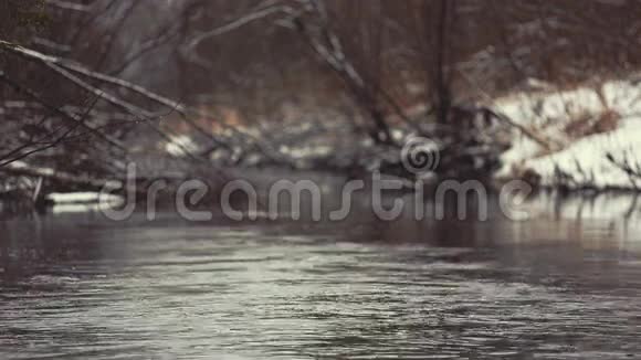 冬季森林景观和冬季河流的安静视频的预览图