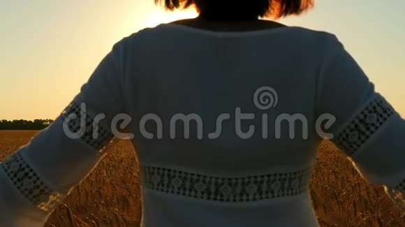 一个年轻女子在日落的背景下缓慢地穿过麦田视频的预览图