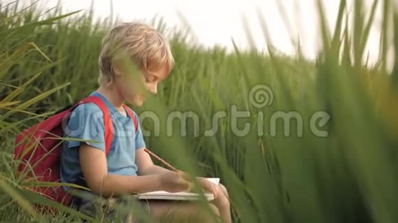 孩子们在绿色的草地上的笔记本上画梦想草图视频的预览图