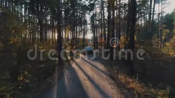 老式汽车在森林里骑行视频的预览图