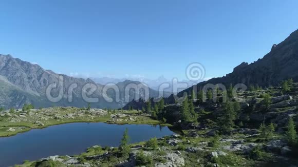 在阳光明媚的夏日在清澈的蓝色湖泊和松树林之上向前迈进欧洲意大利阿尔卑斯山山谷奥斯塔户外绿色视频的预览图