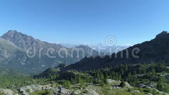 在阳光明媚的夏日在清澈的蓝色湖泊和松树林之上向后移动欧洲意大利阿尔卑斯山山谷奥斯塔户外绿色视频的预览图