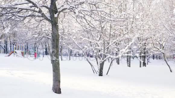 人跑踢树雪从树枝上落下慢动作视频的预览图