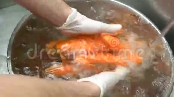 手在碗里洗胡萝卜视频的预览图