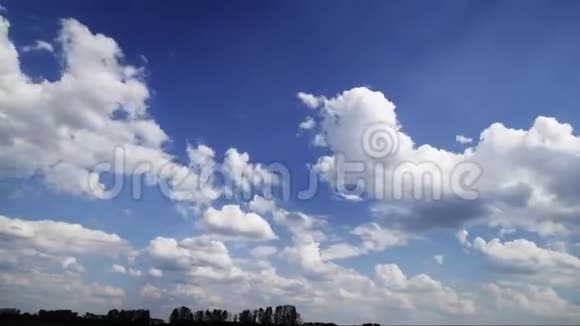 夏日里飞舞的白云视频的预览图