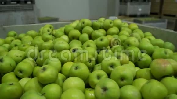 苹果盒子绿色农场视频的预览图