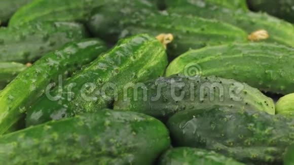 特写镜头天然成熟的绿色黄瓜在滴露中旋转食物视频的预览图