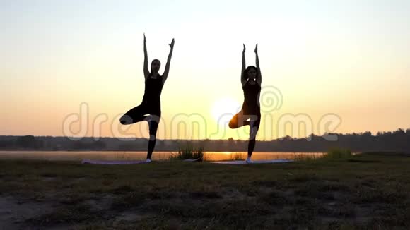 两位年轻女性在斯隆莫的夕阳下做瑜伽树练习视频的预览图