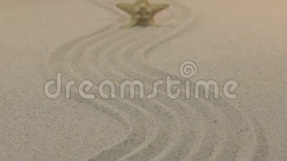 靠近站在沙质线上的黄色海星向地平线飞去视频的预览图