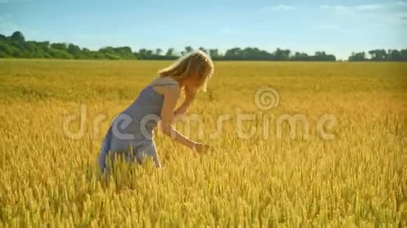 分析麦秆的女人麦田的女农艺师享受大自然视频的预览图