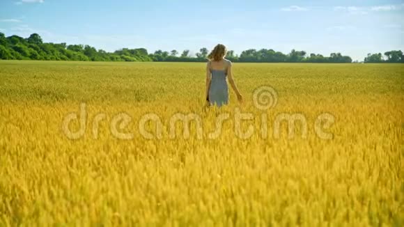 走路的女人摸麦穗自然美女视频的预览图