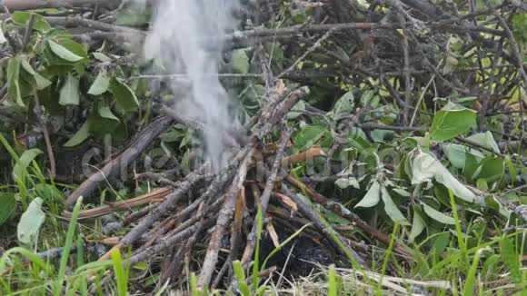 近距离烟雾来自一场小火灾在夏天视频的预览图