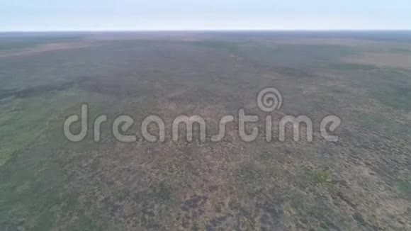 草原无人机的视频ChornyeZemli黑土地自然保护区视频的预览图