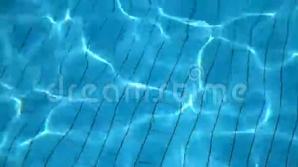 池中纯蓝色的水光线反射4k次录像视频的预览图