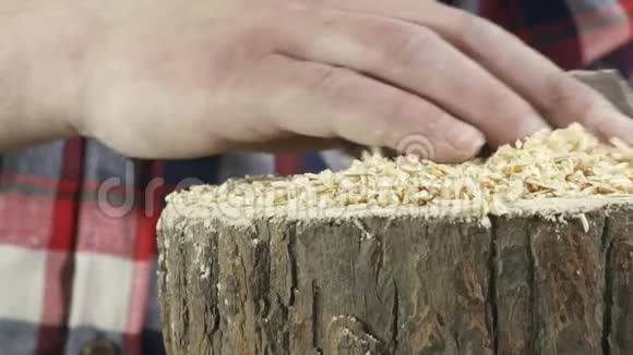 一个穿衬衫的木匠的手在近距离打磨一棵树视频的预览图