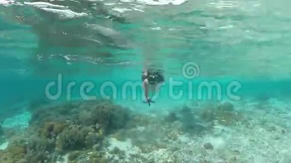 深色头发的年轻女子穿着白色泳衣在水下可爱的美人鱼戴着潜水面具浮潜表演蓝色海星视频的预览图