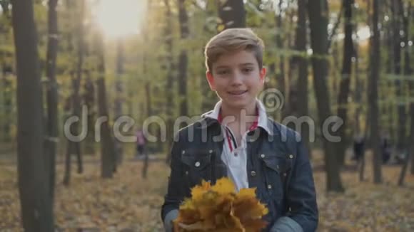 可爱的少年带着一束秋叶视频的预览图