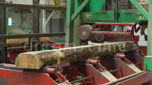 木材加工厂的生产过程机械工具木工机械切割锯木木材木材制造视频的预览图