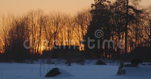 炎热的冬天日落在森林里视频的预览图