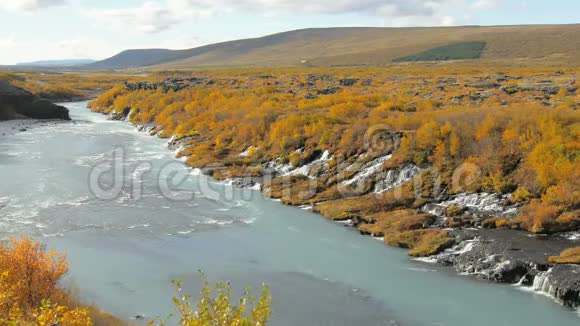 在阳光明媚的秋日里冰岛有许多悬瀑黄草和灌木丛视频的预览图