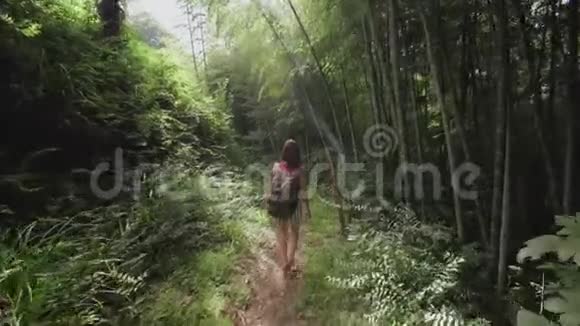 在热带植物棕榈树竹种植园的热带公园里旅行女孩带着袋子沿着小径散步视频的预览图