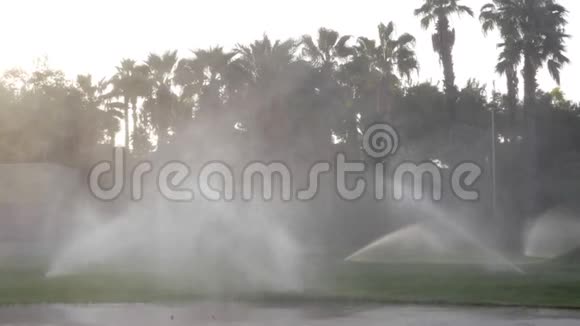 为街道草坪浇水的自动喷头视频的预览图