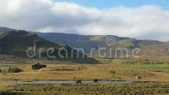冰岛乡村景色时移时移云峦叠嶂两匹马视频的预览图