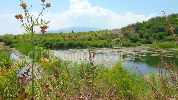 阳光明媚的夏日山上的小湖视频的预览图