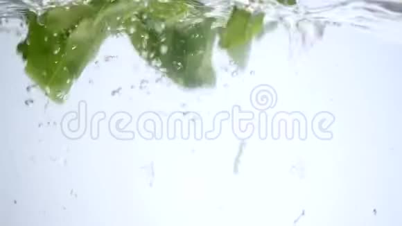 绿色菠菜叶有水滴溅在白色上视频的预览图