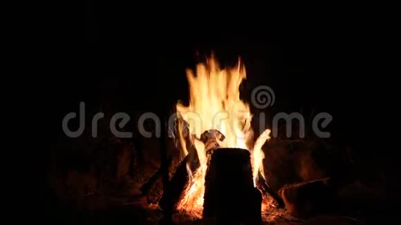夜间在山上营火视频的预览图
