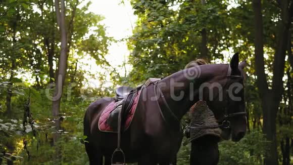 在阳光明媚的森林里雌马在马镫的帮助下爬上马背视频的预览图