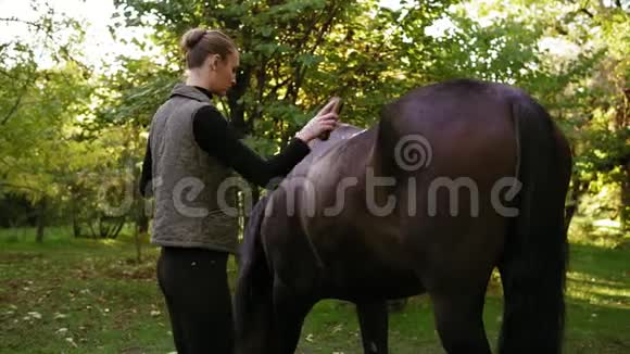 蜕皮和刷马毛年轻迷人的女人梳理她美丽的棕色马站在田野里视频的预览图