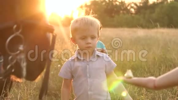 两个小孩子在田里喂马吃苹果视频的预览图