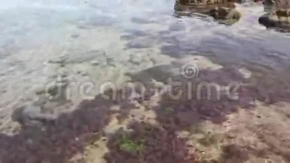 礁石中的水流视频的预览图