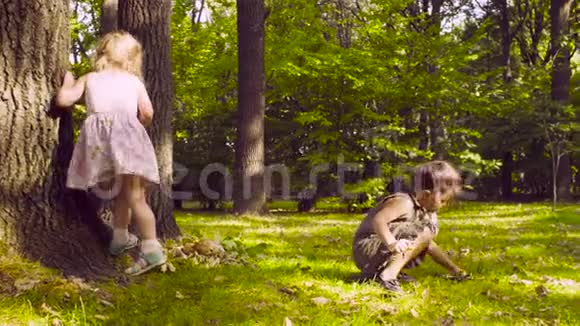 三个女孩在公园里树旁的草地上玩耍视频的预览图