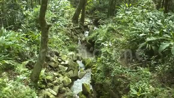 带岩石的热带雨林和河流的神奇景色的无人机观景图很狂野阳光视频的预览图