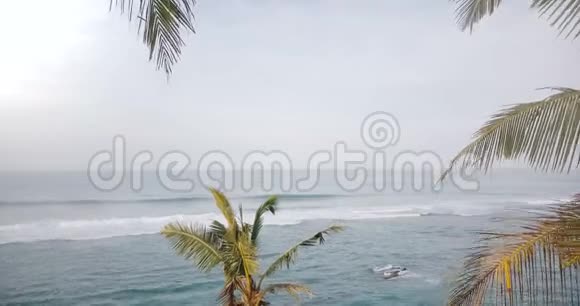 在海岸的热带棕榈树之间无人机向前移动以起泡的波浪展现史诗般开阔的海洋全景视频的预览图
