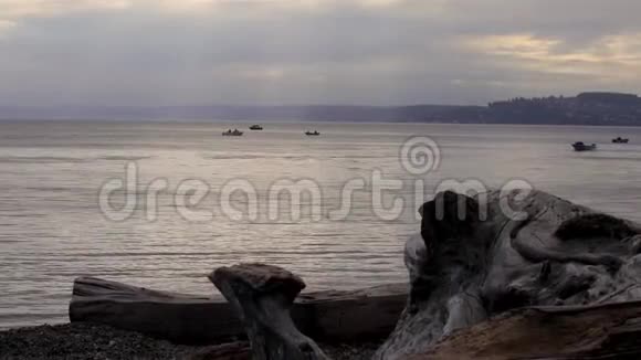 清晨的小船在浮木后面视频的预览图